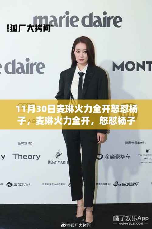 11月30日麦琳怒怼杨子事件,真相解析与反思