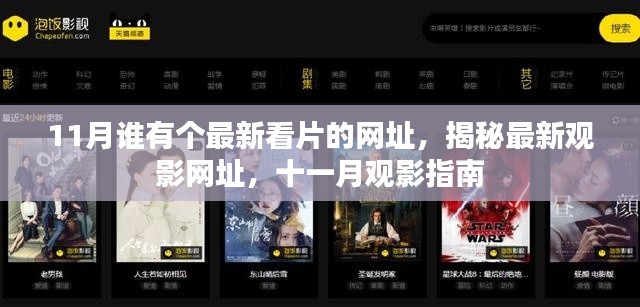 揭秘最新观影网址,十一月观影指南来袭!