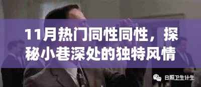 探秘十一月热门同性友好特色小店,小巷深处的独特风情之旅