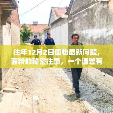 面粉的秘密往事,一个温馨有趣的日常故事之历年12月2日最新观察