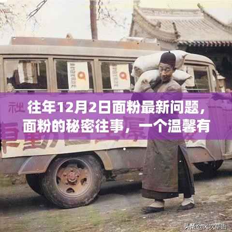 面粉的秘密往事,一个温馨有趣的日常故事之历年12月2日最新观察