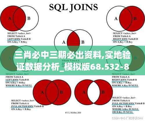 三肖必中三期必出资料,实地验证数据分析_模拟版68.532-8