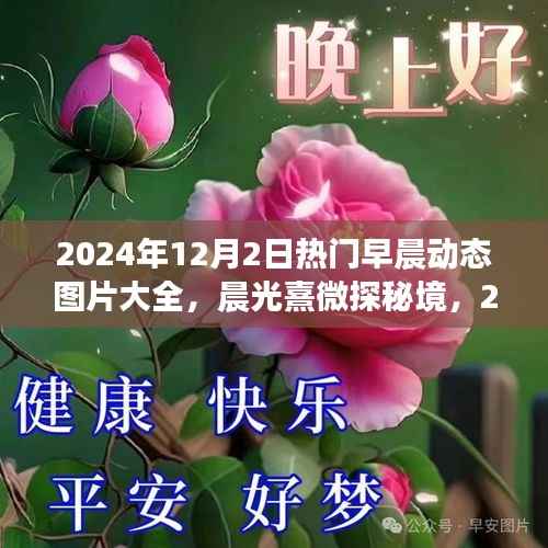 晨光熹微探秘境,2024年12月2日早晨动态美景与图片大全分享