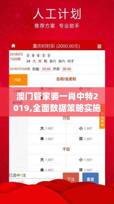 澳门管家婆一肖中特2019,全面数据策略实施_高级款3.134