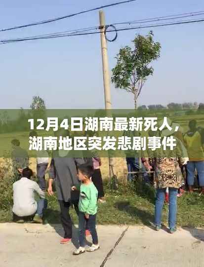 湖南突发悲剧事件深度解析与案例观察(12月4日最新)