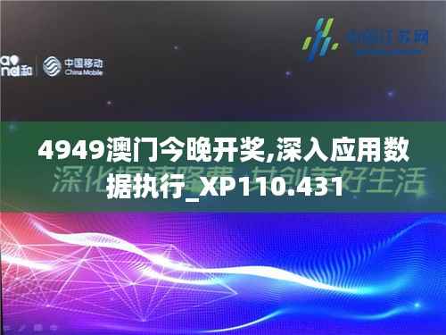 4949澳门今晚开奖,深入应用数据执行_XP110.431