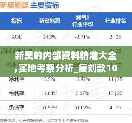 新奥的内部资料精准大全,实地考察分析_复刻款10.629