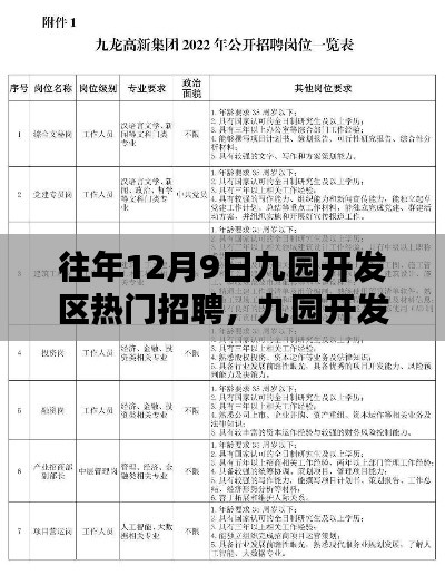 历年12月9日九园开发区人才招聘盛况回顾与影响分析