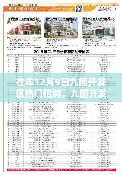 历年12月9日九园开发区人才招聘盛况回顾与影响分析