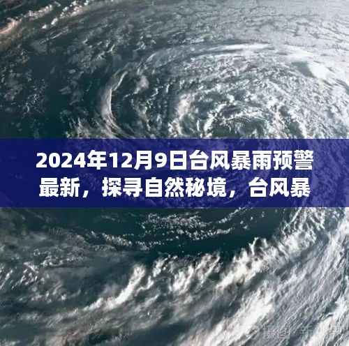 台风暴雨预警更新,探寻自然秘境的诗意旅行之旅