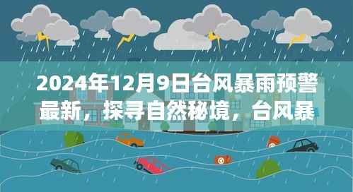 台风暴雨预警更新,探寻自然秘境的诗意旅行之旅