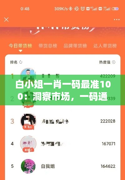 白小姐一肖一码最准100:洞察市场,一码通向成功的路
