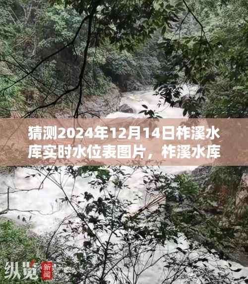 未来水位猜想,柞溪水库实时水位表图片预测