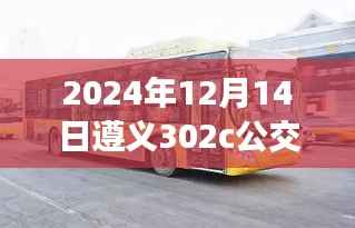 遵义公交实时查询攻略,掌握302c线路实时动态,轻松出行!
