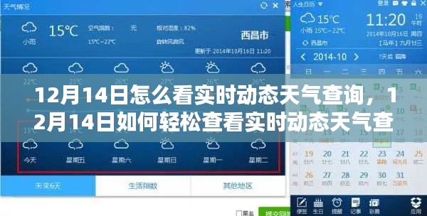 如何轻松查询12月14日实时动态天气信息