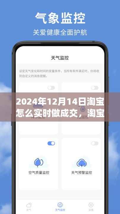 淘宝奇遇,心手相连的交易之爱,淘宝实时成交攻略(2024年12月14日)