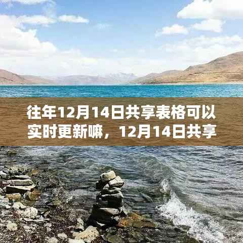 揭秘往年12月14日共享表格更新机制,与自然同行,探寻心灵港湾的实时更新之谜