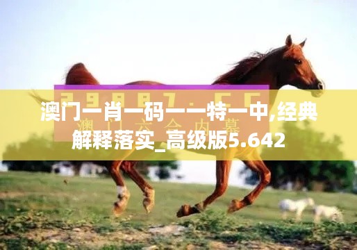 澳门一肖一码一一特一中,经典解释落实_高级版5.642