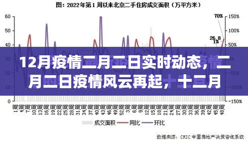 十二月与二月疫情动态回顾与洞察,风云再起的影响分析