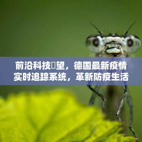前沿科技助力防疫,德国最新疫情实时追踪系统革新生活体验