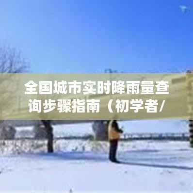 全国城市实时降雨量查询步骤详解,适用于初学者与进阶用户