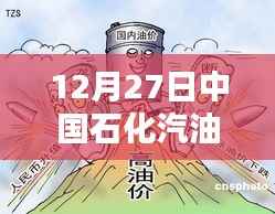 中国石化汽油实时价格查询(12月27日)