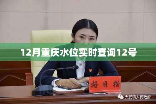 重庆12月水位实时查询(最新更新)