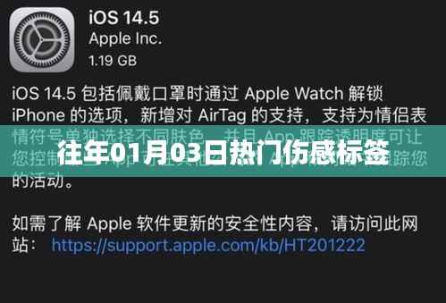 精选伤感标签盘点,历年元旦后的情感回响