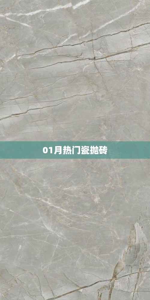 最新热门瓷抛砖,引领潮流风尚!