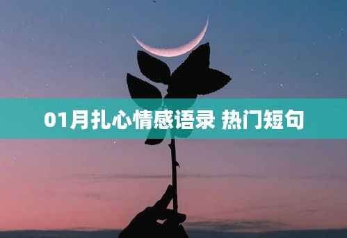 精选扎心情感语录,热门短句触动心灵瞬间