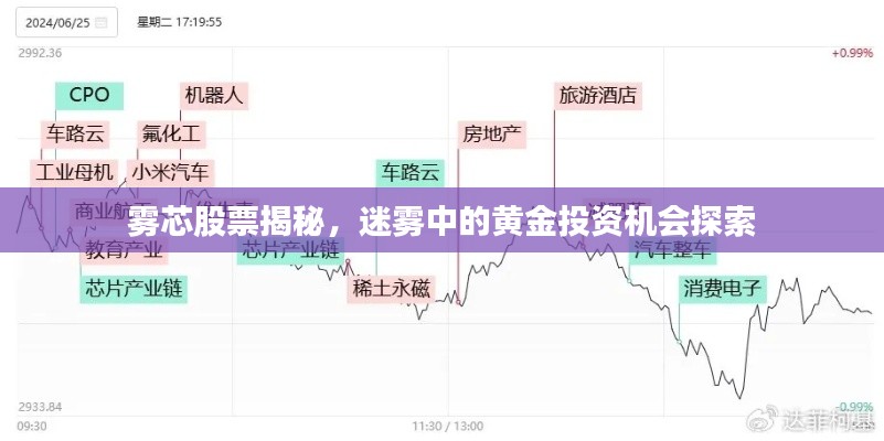 雾芯股票揭秘,迷雾中的黄金投资机会探索