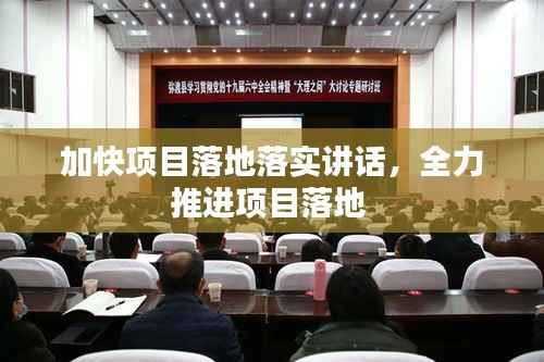 加快项目落地落实讲话,全力推进项目落地