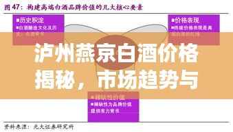 泸州燕京白酒价格揭秘,市场趋势与价格体系深度解析