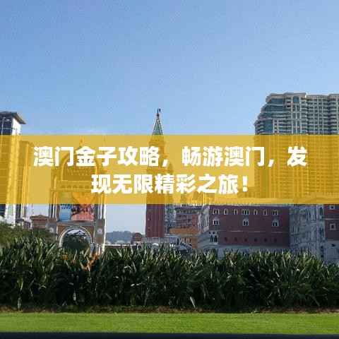澳门金子攻略,畅游澳门,发现无限精彩之旅!