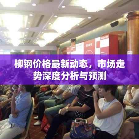 柳钢价格最新动态,市场走势深度分析与预测