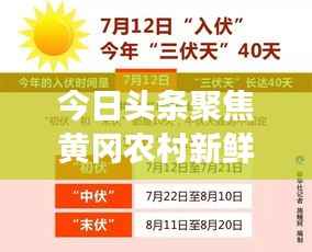 今日头条聚焦黄冈农村新鲜事