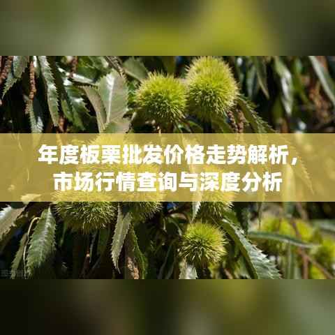 年度板栗批发价格走势解析,市场行情查询与深度分析
