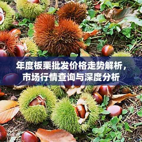 年度板栗批发价格走势解析,市场行情查询与深度分析