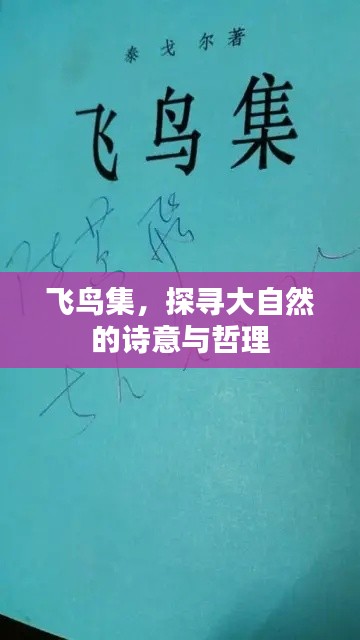飞鸟集,探寻大自然的诗意与哲理