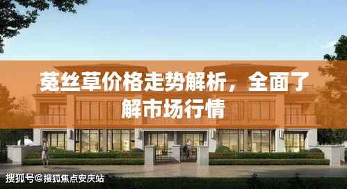 菟丝草价格走势解析,全面了解市场行情