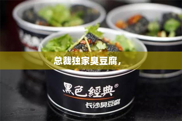 总裁独家臭豆腐,