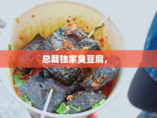总裁独家臭豆腐,