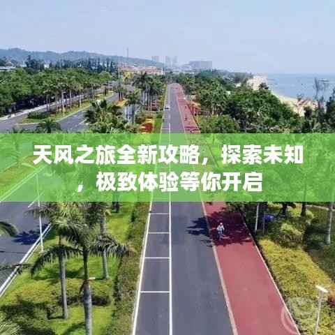 天风之旅全新攻略,探索未知,极致体验等你开启