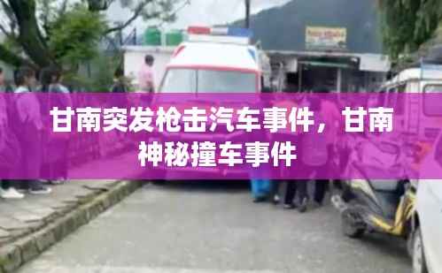 甘南突发枪击汽车事件,甘南神秘撞车事件
