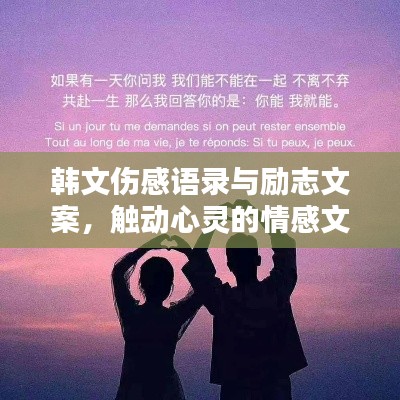 韩文伤感语录与励志文案,触动心灵的情感文字