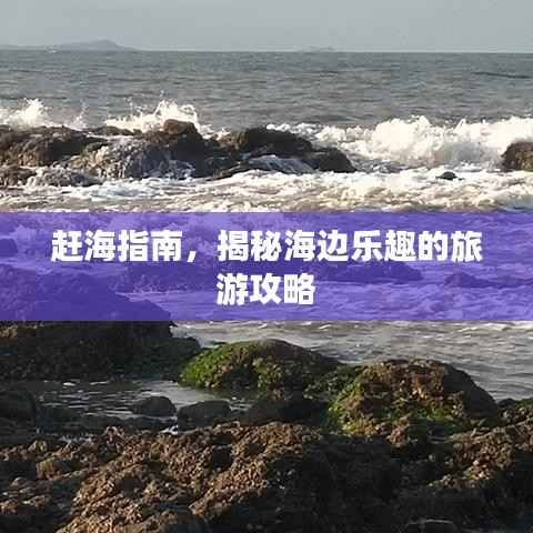 赶海指南,揭秘海边乐趣的旅游攻略