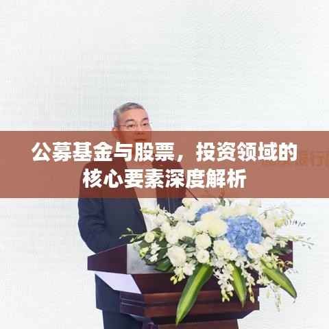 公募基金与股票,投资领域的核心要素深度解析