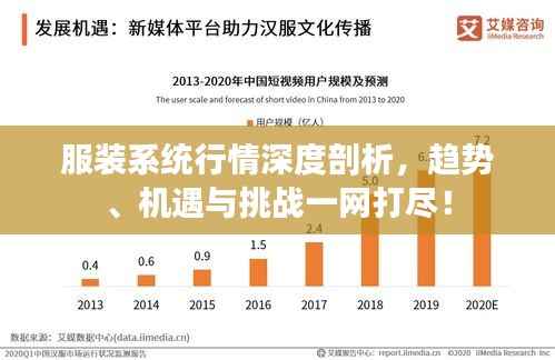 服装系统行情深度剖析,趋势、机遇与挑战一网打尽!