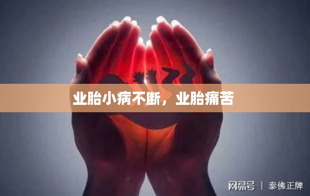 业胎小病不断,业胎痛苦