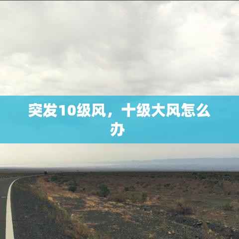 突发10级风,十级大风怎么办